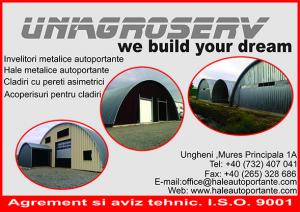 Hale metalice autoportante